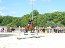 reittunier11