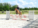 reittunier12