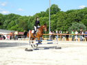 reittunier13