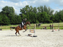 reittunier15