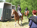reittunier2