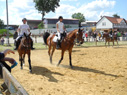 reittunier3