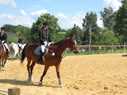 reittunier5