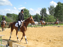 reittunier6