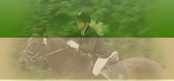 Reiten im Vogtland