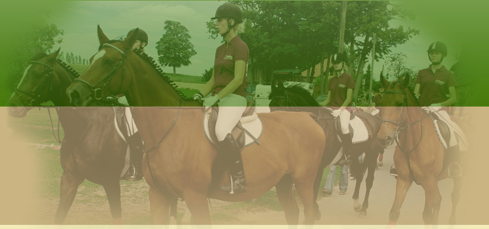 Reiten im Vogtland