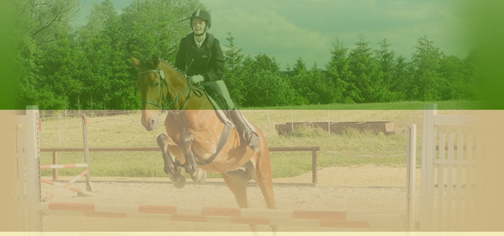 Reiten im Vogtland
