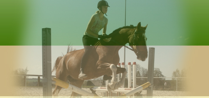 Reiten im Vogtland